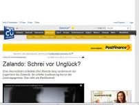 Bild zum Artikel: Schlechte Arbeitsbedingungen: Zalando: Schrei vor Unglück?