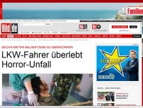 Bild zum Artikel: Baumstamm im Körper - LKW-Fahrer überlebt Horror-Unfall