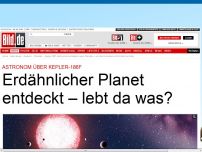 Bild zum Artikel: Neue Entdeckung - »Bestes Beispiel für bewohnbaren Planeten