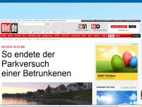 Bild zum Artikel: Fahrerin völlig dicht - Parkversuch endet in der Elbe