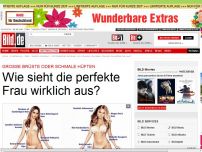 Bild zum Artikel: Busen, Haare, Hüften... - Wie sieht die perfekte Frau wirklich aus?