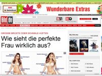 Bild zum Artikel: Busen, Haare, Hüften... - Wie sieht die perfekte Frau wirklich aus?