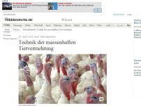 Bild zum Artikel: Fleischindustrie: Technik der massenhaften Tiervermehrung
