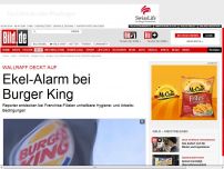 Bild zum Artikel: RTL-Reportage deckt auf - Ekel-Alarm bei Burger King