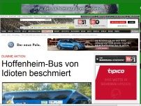Bild zum Artikel: Hoffenheim-Bus von Idioten beschmiert