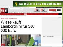 Bild zum Artikel: Spielzeug der Woche - Wiese kauft Lamborghini für 380 000 Euro