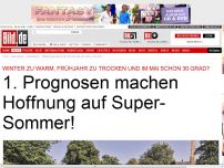 Bild zum Artikel: 1. Prognosen gut - Hoffnung auf Super-Sommer!