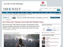 Bild zum Artikel: Bürgerkrieg : Im Osten der Ukraine herrscht der blanke Hass