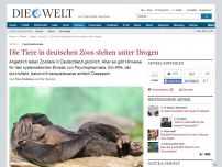 Bild zum Artikel: Psychopharmaka: Die Tiere in deutschen Zoos stehen unter Drogen