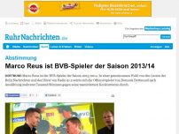 Bild zum Artikel: Marco Reus ist BVB-Spieler der Saison 2013/14