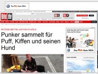 Bild zum Artikel: Witizge Aktion - Punker bettelt für Puff, Gras und Hund