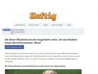 Bild zum Artikel: Als dieser Blindenhund sein Augenlicht verlor, tat sein Besitzer etwas Bemerkenswertes. Wow!