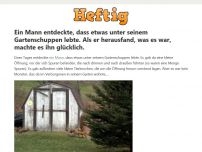 Bild zum Artikel: Ein Mann entdeckte, dass etwas unter seinem Gartenschuppen lebte. Als er herausfand, was es war, machte es ihn glücklich.