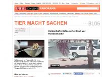 Bild zum Artikel: Tier macht Sachen: Heldenhafte Katze rettet Kind vor Hundeattacke