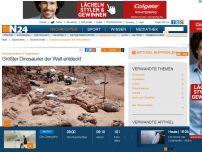 Bild zum Artikel: Sensationsfund in Argentinien - 
Größter Dinosaurier der Welt entdeckt