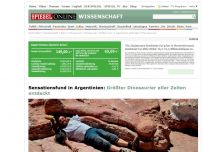 Bild zum Artikel: Sensationsfund in Argentinien: Größter Dinosaurier aller Zeiten entdeckt