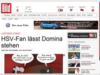 Bild zum Artikel: HSV-Fan lässt Domina stehen