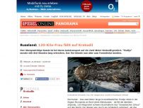 Bild zum Artikel: Russland: 120-Kilo-Frau fällt auf Krokodil