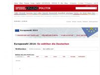 Bild zum Artikel: Europawahl 2014: So wählten die Deutschen