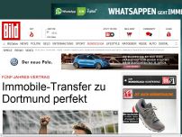 Bild zum Artikel: Italiener berichten - Immobile-Transfer zu Dortmund perfekt