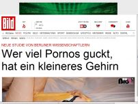 Bild zum Artikel: Wer Pornos guckt, hat kleineres Gehirn