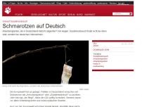 Bild zum Artikel: Vorwurf Sozialmissbrauch: Schmarotzen auf Deutsch