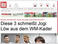 Bild zum Artikel: Schmelzer, Volland, Mustafi - Diese 3 schmeißt Jogi aus dem WM-Kader