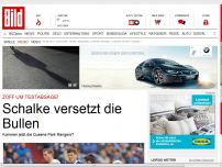 Bild zum Artikel: RB Leipzig - Schalke versetzt die Bullen