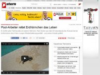 Bild zum Artikel: Wiederbelebung nach Ertrinken: Pool-Arbeiter rettet Erdhörnchen das Leben