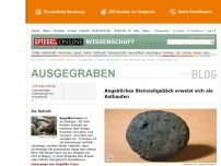 Bild zum Artikel: Zuger 'Pfahlbaubrot': Angebliches Steinzeitgebäck erweist sich als Kothaufen