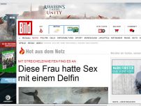 Bild zum Artikel: Delfin verliebt in Trainerin - Statt Englisch zu lernen, wollte er lieber Sex