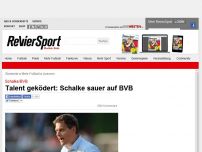 Bild zum Artikel: Talent geködert: Schalke sauer auf BVB