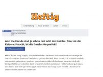 Bild zum Artikel: Also die Hunde sind ja schon mal echt der Knüller. Aber als die Katze auftaucht, ist die Geschichte perfekt!