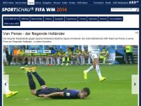 Bild zum Artikel: Flugkopfball im Spiel gegen Spanien: Van Persie - der fliegende Holländer