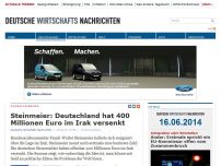 Bild zum Artikel: Steinmeier: Deutschland hat 400 Millionen Euro im Irak versenkt