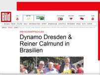 Bild zum Artikel: Dynamo & Calli in Brasilien