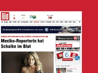 Bild zum Artikel: Das schönste WM-Gesicht - Mexiko-Reporterin hat Schalke im Blut