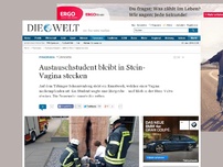 Bild zum Artikel: Tübingen: Austauschstudent bleibt in Stein-Vagina stecken