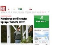Bild zum Artikel: Hamburgs schlimmster Sprayer wieder aktiv​