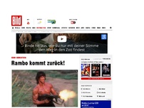 Bild zum Artikel: Stallone kommt als Rambo zurück!