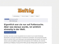 Bild zum Artikel: Eigentlich war sie nur auf Futtersuche. Aber was daraus wurde, ist wirklich einmalig in der Welt.