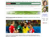 Bild zum Artikel: WM-Gruppenspiele von Kamerun: Wettpate spekuliert über Betrug
