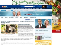 Bild zum Artikel: Ist es ausgestopft nützlicher? Berner Zoo tötet gesundes Bärenbaby