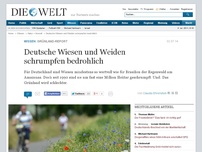 Bild zum Artikel: Grünland-Report: Deutsche Wiesen und Weiden schrumpfen bedrohlich