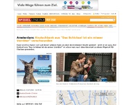 Bild zum Artikel: Amsterdam: Knutschbank aus 'Das Schicksal ist ein mieser Verräter' verschwunden