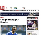 Bild zum Artikel: Choupo-Moting jetzt Schalker