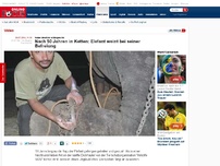 Bild zum Artikel: Seine Besitzer schlugen ihn - Nach 50 Jahren in Ketten: Elefant weint bei Befreiung