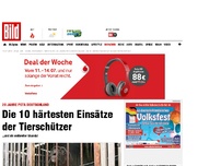 Bild zum Artikel: 20 Jahre PETA Deutschland - Die 10 härtesten Einsätze der Tierschützer