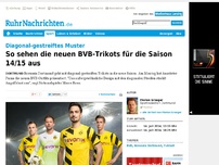 Bild zum Artikel: So sehen die neuen BVB-Trikots aus