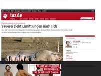 Bild zum Artikel: Ferkelquälerei in Deutschland: Sauerei zieht Ermittlungen nach sich